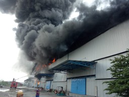 Pabrik Terbakar, Karyawan PT Blue Shark Panik