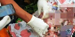 Dimasukkan Tas, Bayi Jenis Kelamin Laki-laki Dibuang di Lahan Kosong