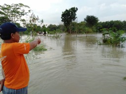 Banjir di Gresik Telan Korban, Dua Orang Tewas