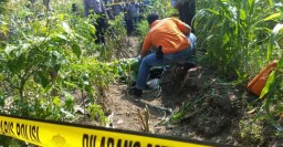 Geger Penemuan Mayat Kondisi Terbakar di Perkebunan Mojokerto