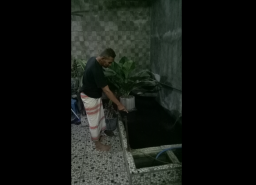 Orang Tua Tertidur, Balita 8 Bulan Tewas Tercebur Kolam Ikan
