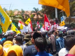 Petani dan Aktivis Desak Fungsikan Perda Perlindungan Lahan Pertanian