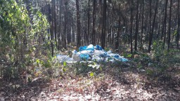 Tumpukan Sak Limbah Indolakto di Kawasan Hutan Produksi Jadi Sorotan Warga
