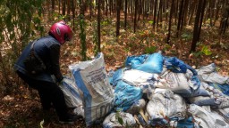 Penggunaan Limbah Indolakto di Hutan Produksi Tanpa Dokumen