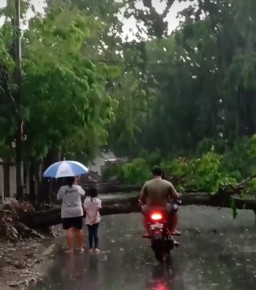 Angin Kencang dan Hujan Es Batu Rusak Fasilitas Umum di Bojonegoro