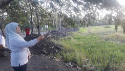 Pemkot Pasuruan Akan Dirikan SD Tanggap Darurat