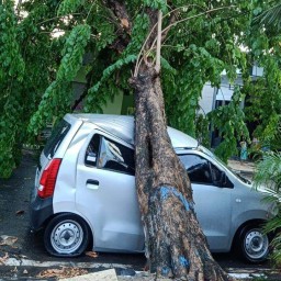 Mobil Ringsek dan 2 Rumah Rusak Akibat Hujan dan Angin Kencang di Lamongan