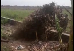 Pipa PDAM Bocor, Pasokan Air Turun 200 Liter Per Detik