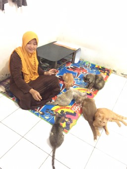 Dijuluki Ibu Asuh Kucing, Rawat Ratusan Ekor Selama 10 tahun