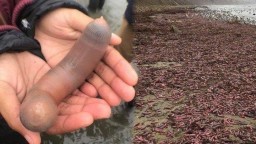 Viral Penemuan Ikan Penis yang Dipercaya Bisa Tingkatkan Birahi