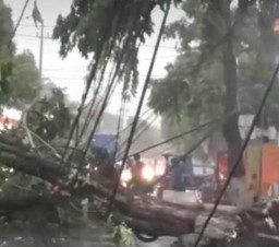 Angin Kencang Amuk Madiun Kota