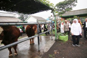 Jangan Khawatir, Selama Nataru Harga Daging di Jatim Dipastikan Stabil