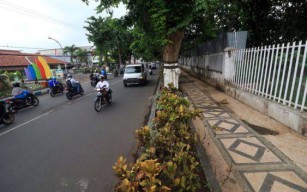 Warga Pasuruan Diteror Pria Pamer Alat Kelamin