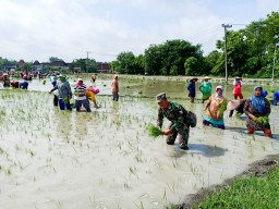 Dinas Pertanian Tantang DPRD Adu Data Soal Lahan Pertanian di Bojonegoro