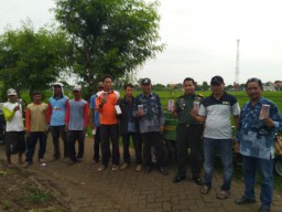 Setop Jebakan Tikus Pakai Setrum, Distan Mulai Kampanyekan Pemasangan Rubuha