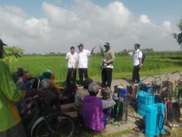 Pemutusan Kabel Listrik Jebakan Tikus Segera Digulirkan, Besok Distan Sosialisasi di Dukun
