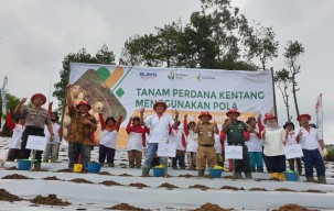 Tanam Perdana, Petrokimia Gresik Uji Peningkatan Produktivitas Kentang dengan NPK Phonska Plus