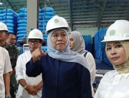 Buka Kran Impor Untuk Antisipasi Kelangkaan Gula