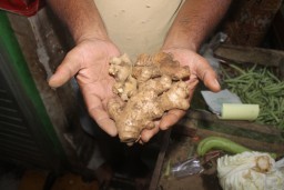 Kebal Virus Corona, Harga Jahe Naik Drastis Rp 35 Ribu Per Kg