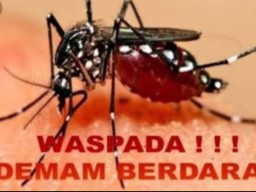 Waspada DB, Awal Tahun Sebanyak 801 Kasus dan Tujuh Pasien Meninggal di Jatim