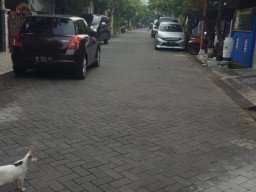 Semakin Panik, Tetangga Pasien Meninggal Berharap Ada Penyemprotan