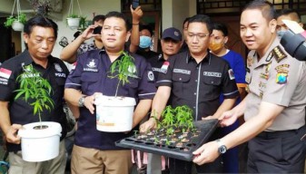 Tanam Ganja Hidroponik Digerebek Polda Jatim