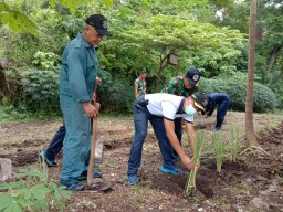 Lanal Batuporon Tanami Lahan Kosong