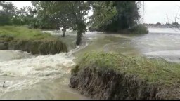Tanggul Kali Lamong Jebol, 1.584 Rumah Terendam Banjir