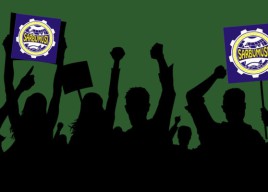 Dipecat Sepihak, Ratusan Buruh HSI Demo Pabrik