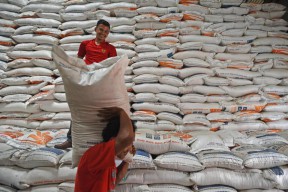 Amankan Stok Pangan, Petani Tingkatkan Produktifitas Tanaman