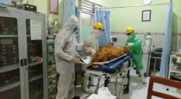 Tiga Orang Sembuh Covid, Tambah Dua Pasien Baru di Gresik