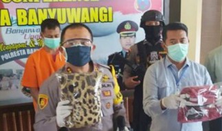 Lihat Tubuh Molek, Bapak Bejat Gauli Anak Tiri