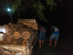 Polres Probolinggo Amankan Pembalak Liar Hutan Lindung