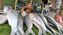 Tak Ada Pasar Bandeng, Pedagang Jual Secara Online