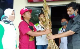 Jatah Pupuk Subsidi Dipangkas, Petani Wadul DPRD Jember