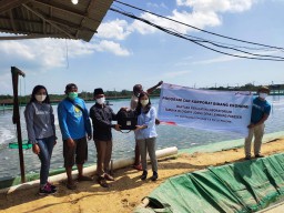 PT Pertamina EP Asset 4 Dukung Budidaya Udang Petambak Bangkalan
