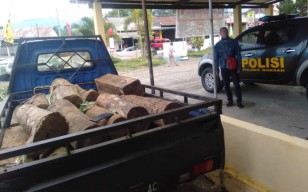 Curi Kayu Perhutani, Dua Warga Desa Sumber Sari Maesan Ditangkap