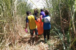 Mayat Tanpa Busana Ditemukan di Kebun Tebu Tulangan