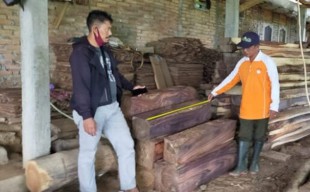 Empat Pembalak Kayu Hutan Ponorogo Diringkus