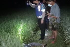 Pamit Lihat Sawah, Warga Sidayu Ditemukan Tewas Kesetrum