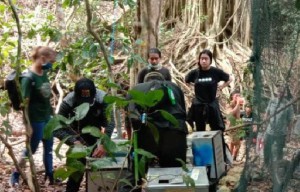Pulau Nusabarong Jember Kedatangan 40 Ekor Monyet Baru