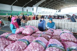 Mulai Hari Ini, 75 Pembeli Pertama Lumpaja Gratis Paket Sembako