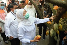 Industri Mikro Menengah Kecil Jadi Motor Penggerak Pemulihan Ekonomi Jatim