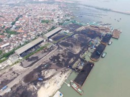 Walaupun Tak ber-IMB, KSOP Izinkan Aktivitas Pelabuhan Gresik Jasatama Karena Surat Dirjen