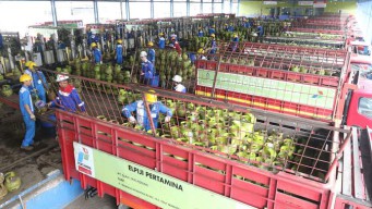 Libur Panjang, Pertamina MOR V Tambah Pasokan Gas LPG Tabung 3 Kg