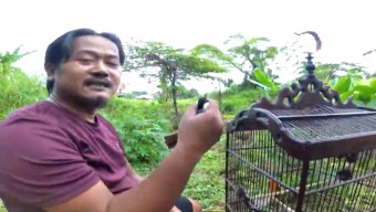Hobi Pemuda Driyorejo ini Beli Burung di Pasar Lalu Dilepaskan