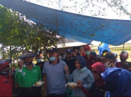 Peningkatan Panen Padi di Desa Glugu Lamongan Bikin Bacabup Suhandoyo Terkesan, Apa Rahasianya?