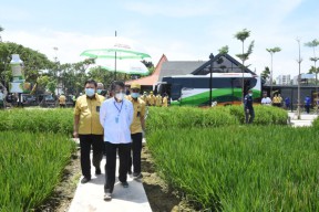 Menteri ESDM Apresiasi Industri Pupuk Dapat Pasokan Gas