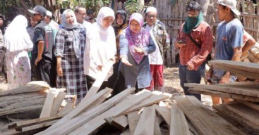 Dinas Kehutanan Jatim Targetkan Jatim Produksi Kayu Bulat 526.474 m3
