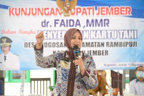 Bupati Faida Jamin Petani Jember Dapat Alokasi Pupuk Subsidi